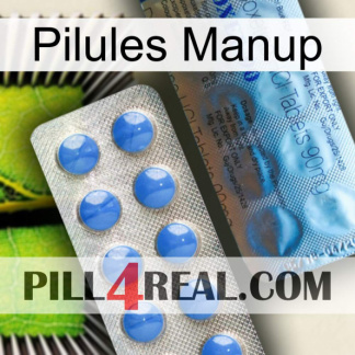 Manup Pills 40